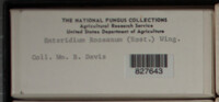 Image Associated With the Occurence